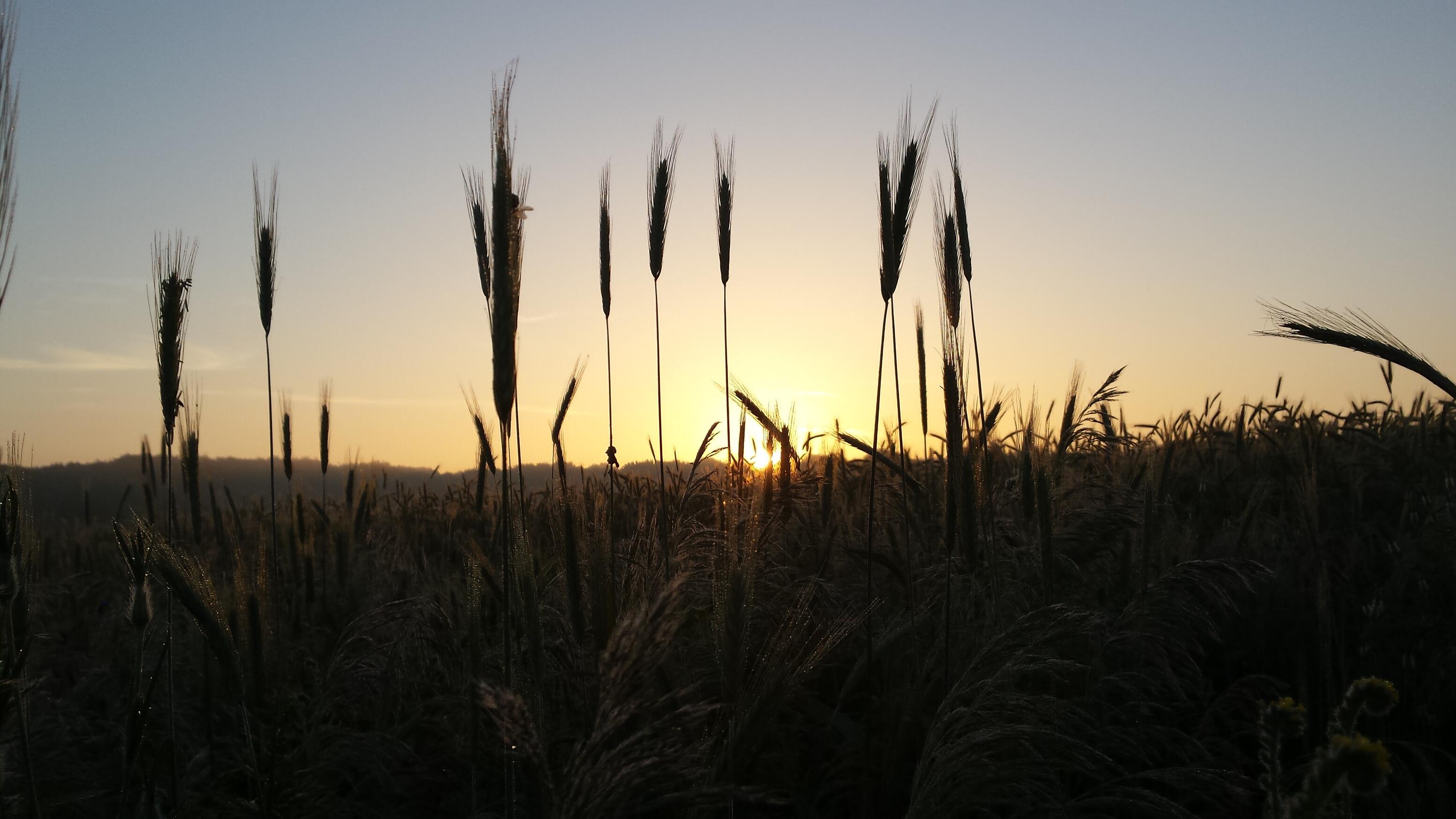 18 maart 2015 |Keuzes rondom het levenseinde